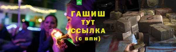 сатива Магадан