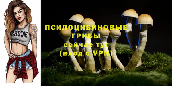 сатива Магадан