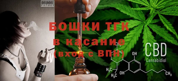 сатива Магадан