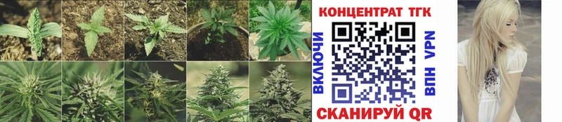 дарк нет клад  Нюрба  ТГК Wax  где продают наркотики 